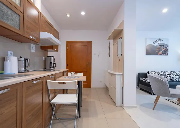 Karkonosky - Skalniak Lejlighed *